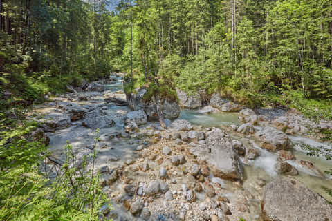 Gemeinde Ramsau Landkreis Berchtesgadener_Land Zauberwald am Hintersee (Dirschl Johann) Deutschland BGL